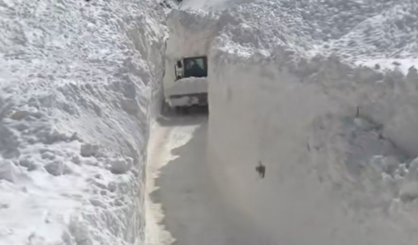 Başkale’de Çığ Felaketi: Sualtı Mahallesi’ne Ulaşım Zorla Sağlanıyor