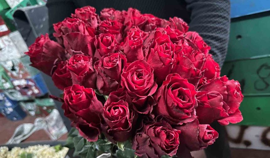 İthal Güller Yerli Gülleri Geride Bırakıyor