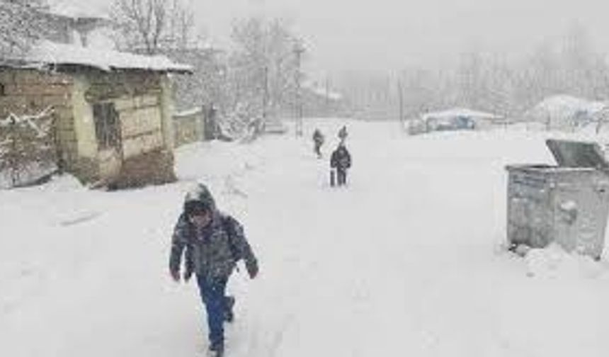 Van’ın o ilçesinde taşımalı eğitime ara verildi