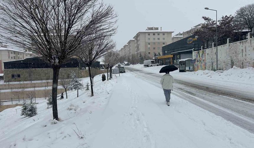Van'da kar yağışı ulaşımı aksattı