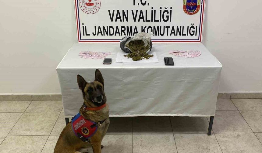 Van’da uyuşturucu operasyonu: 1 kilo 64 gram skunk ele geçirildi
