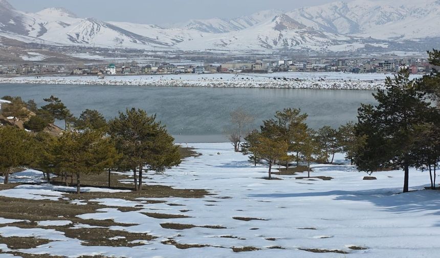 Van'da bahar yüzünü gösterdi