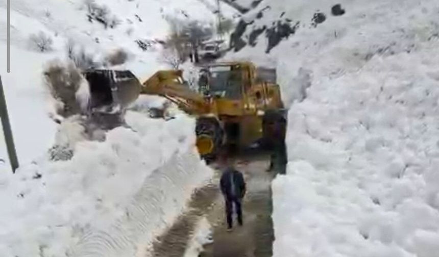 Van Bahçesaray’da Çığ Düşen Yol 3 Saatlik Çalışma ile Temizlendi