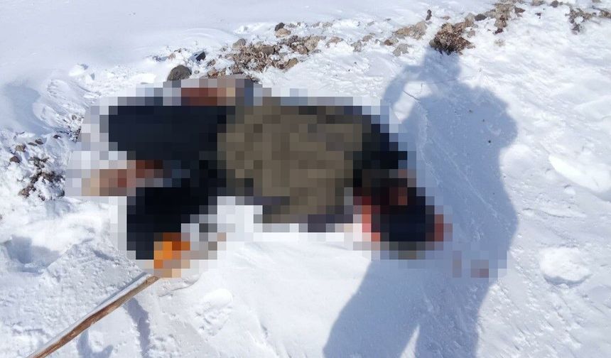 İran sınırında cansız beden bulundu