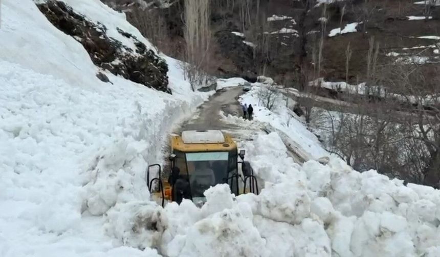 Bahçesaray’da çığ nedeniyle ulaşıma kapandı