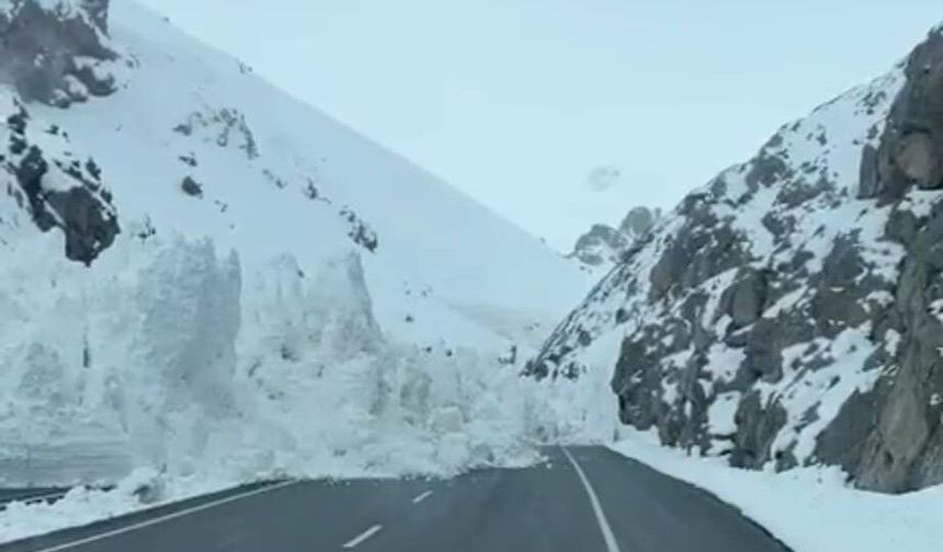 Van-Hakkari karayoluna çığ düştü