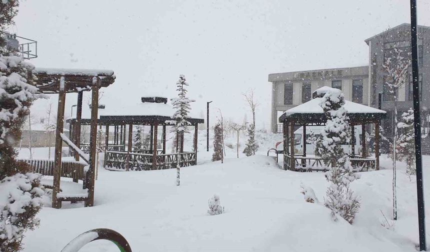 Başkale’de kar yağışı etkili oldu