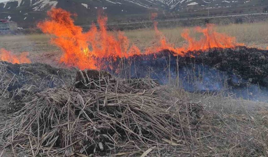 Van’ın Gevaş ilçesinde anız yangını