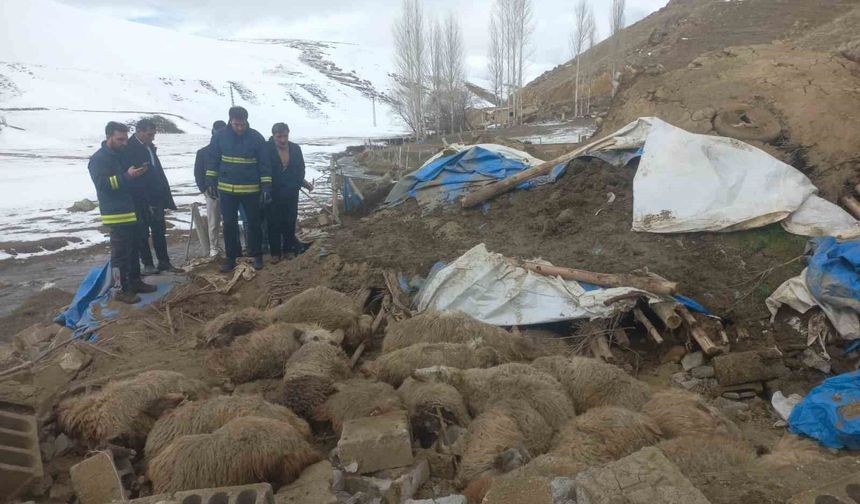 Gürpınar'da ahır çöktü,  23 küçükbaş hayvan telef oldu