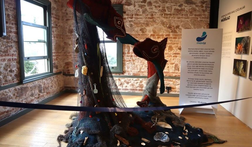 Deynizden çıkarılan hayalet ağlar sanat eserine dönüştü