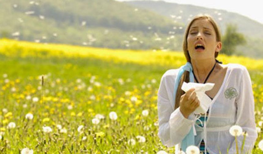 Polen Alerjisine Karşı Alınması Gereken Önlemler