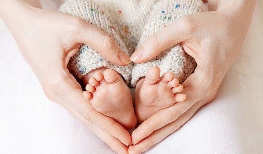 Van'da Tüp Bebek Merkezinde ilk gebelik gerçekleşti