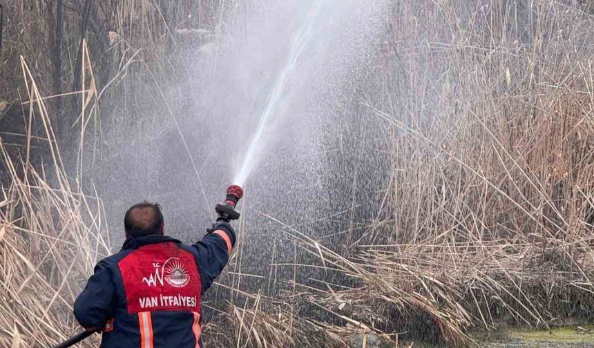 Van’da sazlık alanda yangın