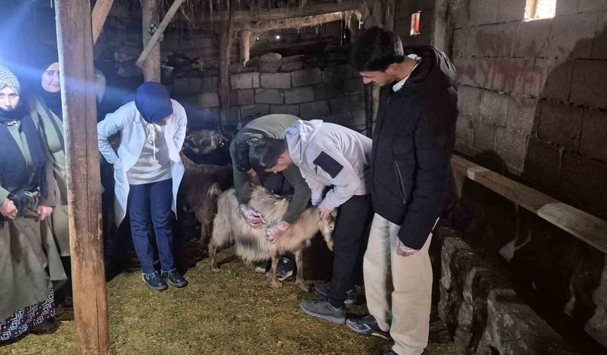 Van'da çiftçilere yönelik eğitim seferberliği başlatıldı