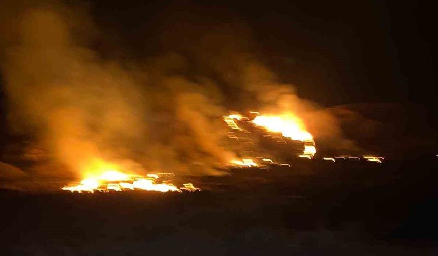 Van’da sazlık alanda yangın çıktı