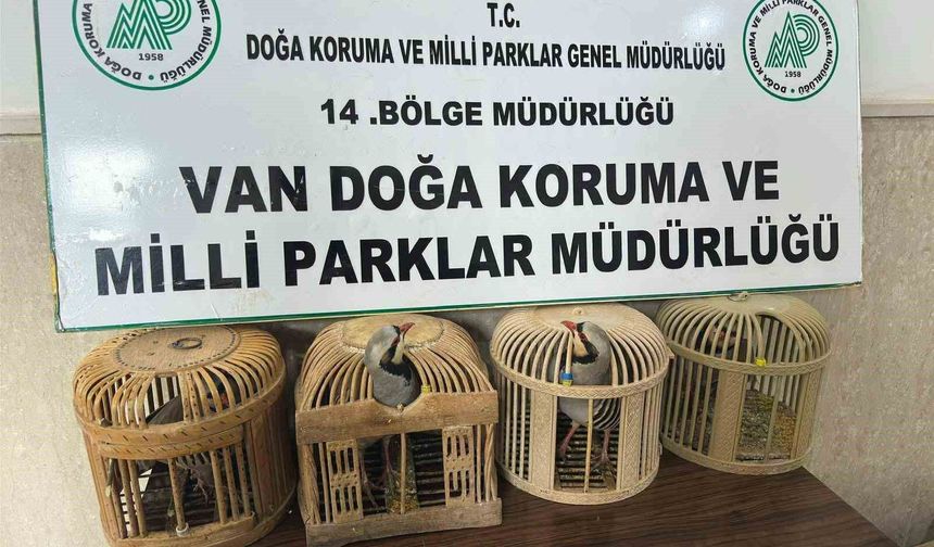 Van’da Kafes Avcılığına 86 Bin Lira Ceza