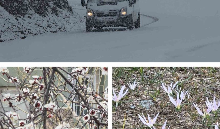 Van’ın bir tarafı bahar, diğer tarafı kış