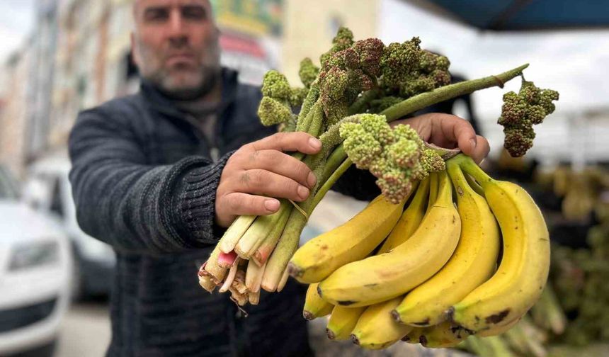Van’ın Dağlarından Gelen Şifa Deposu Uçkun, Tezgahlarda