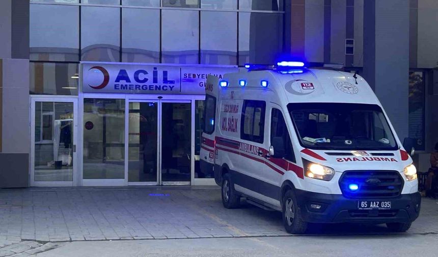 Van’da sahipsiz köpeklerin saldırısına uğrayan 5 yaşındaki çocuk yaşamını yitirdi