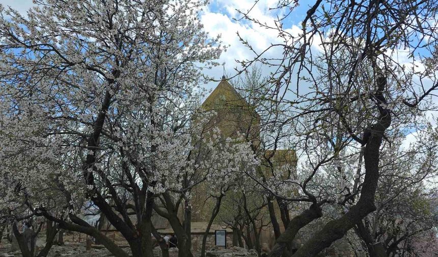 Akdamar Adası, 23 Nisan’da Yerli ve Yabancı Ziyaretçi Akınına Uğradı
