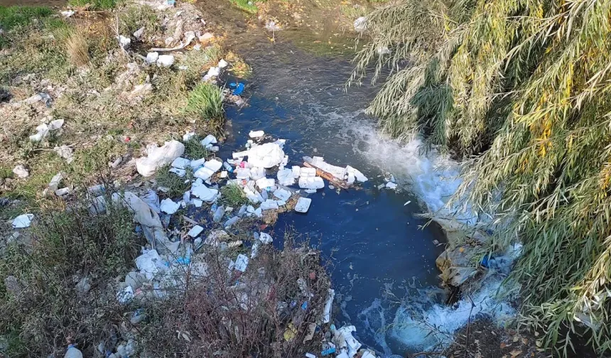 Van Gölü Alarm Veriyor: Akköprü Deresi’nden Taşınan Atıklar Tehlike Saçıyor