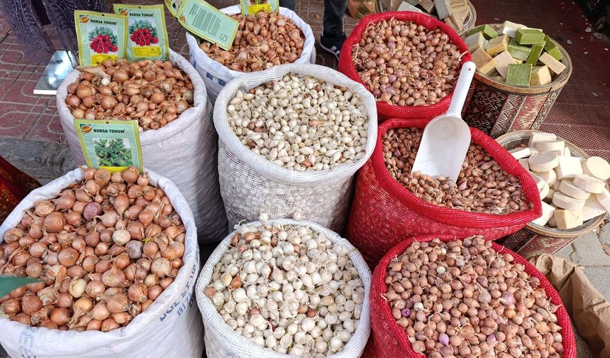 Van’da "Bedar" soğanı tohumları tezgahlardaki yerini aldı