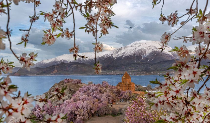 Van’da 4. Badem Çiçeği Festivali Başlıyor