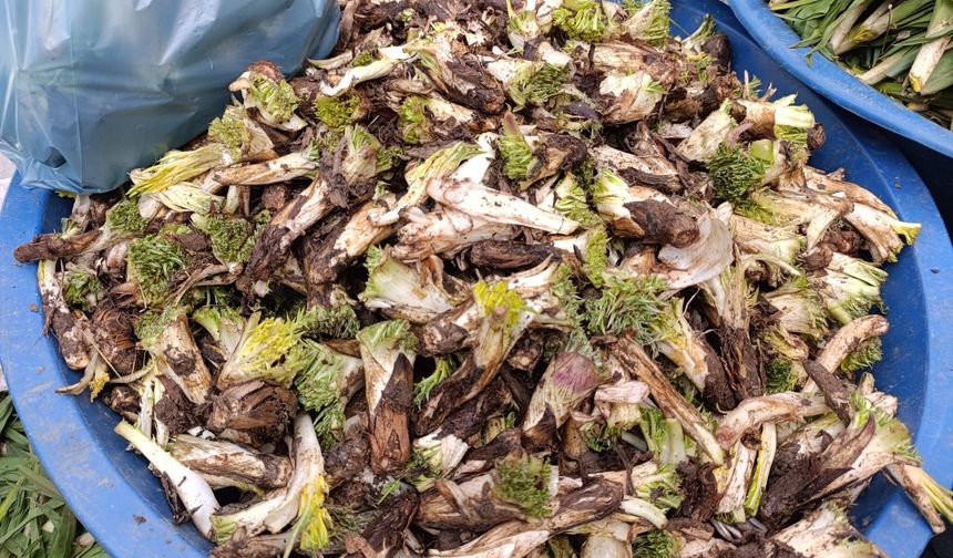 Van’da kenger tezgâhlardaki yerini aldı: Yüksek fiyata rağbet görüyor