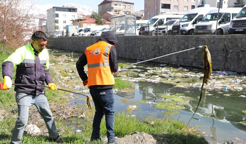 Van balığının göç yolu temizleniyor
