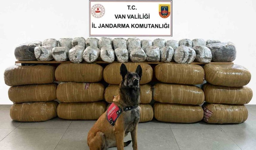 Van’da 443 Kilo Uyuşturucu Ele Geçirildi: 21 Şüpheli Yakalandı