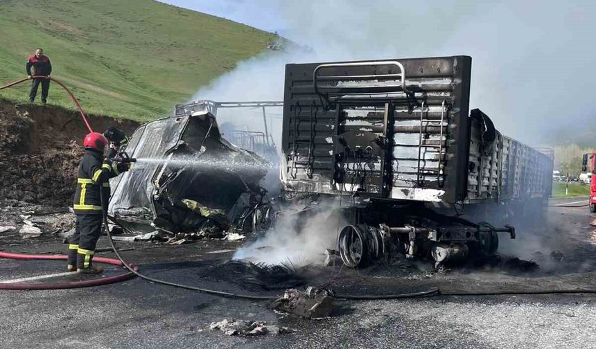 Van-Tatvan karayolunda can pazarı: 2 tır alev topuna döndü, 2 ölü