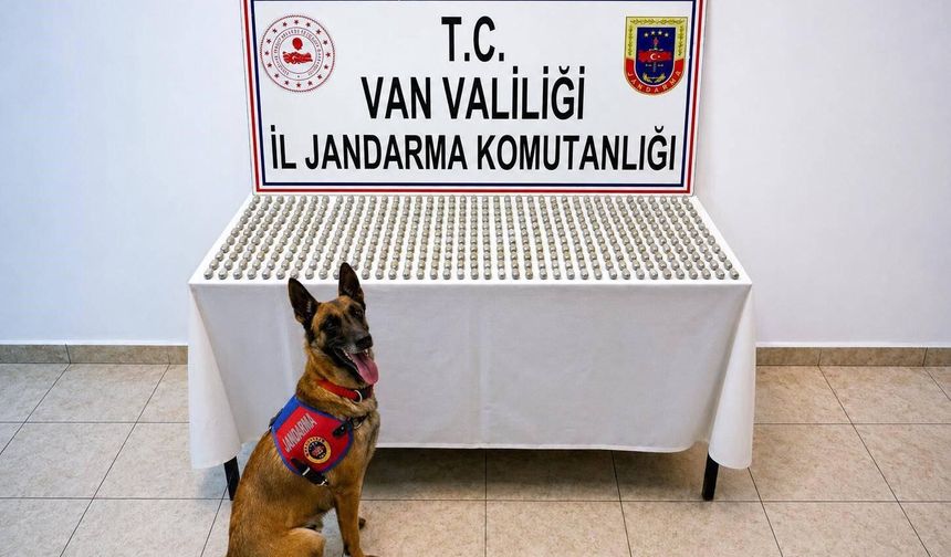 Van’da İranlı şahısların midesinden 3 kilo 374 gram esrar çıkarıldı