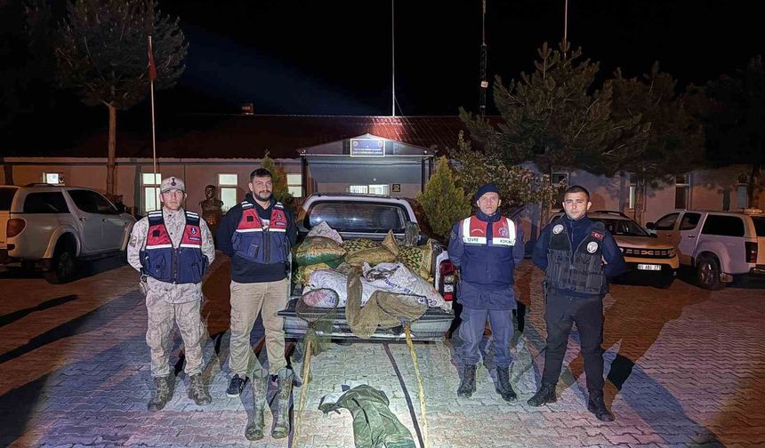 Van’da 630 kilo inci kefali ele geçirildi