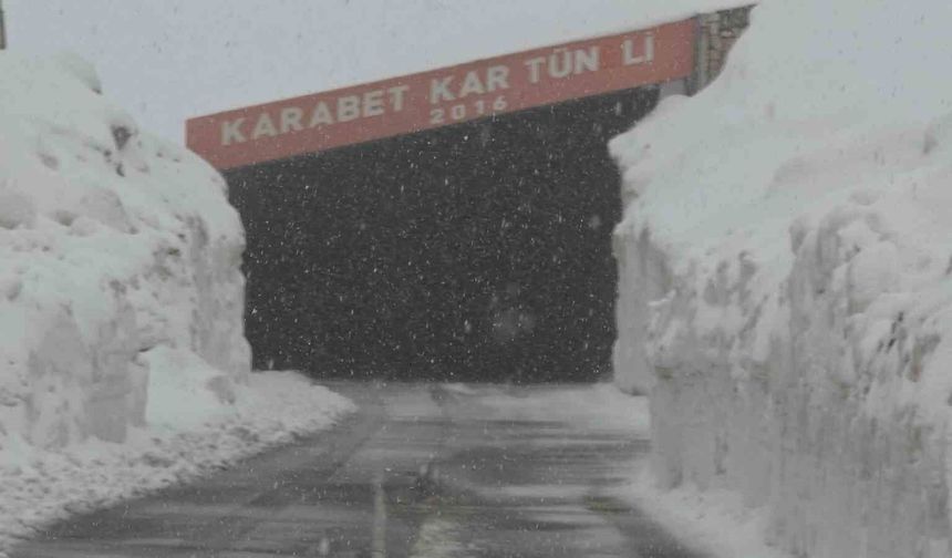 Van’da bahar ortasında kış geri geldi: Yüksek kesimler beyaza büründü!