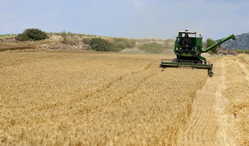Çiftçinin Gözü Kulağı TMO’da: 2026 Hububat Taban Fiyatları İçin Geri Sayım Başladı