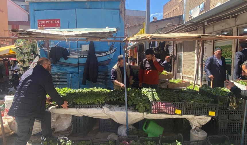 Van’da bahçeler için hazırlık başladı: Fideye talep yükseldi