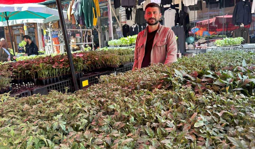 Van’da bahar hareketliliği