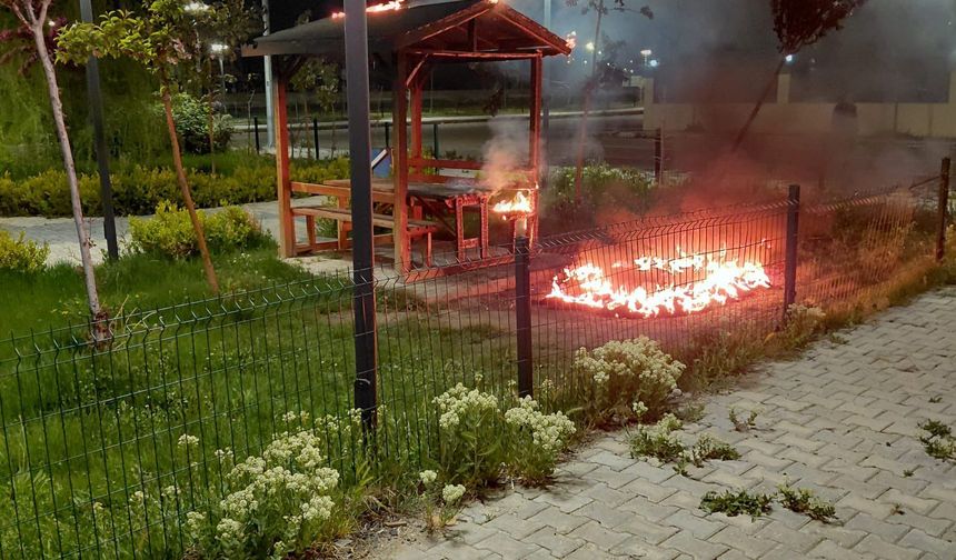 Van’da sokak magandaları parkları yakıyor