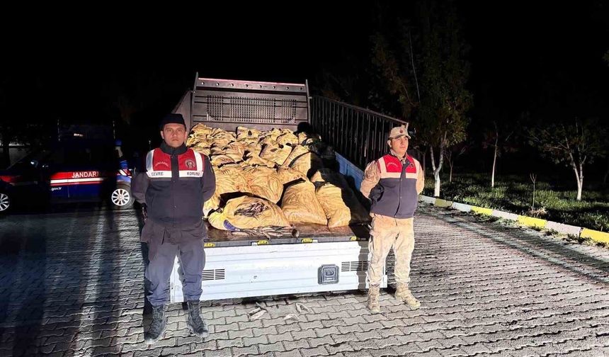 Van’da 800 kilo kaçak balık ele geçirildi
