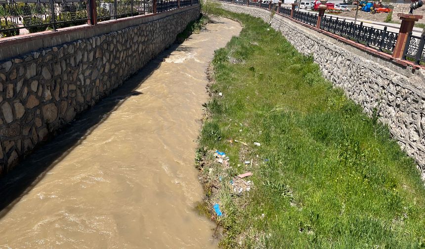 İnci Kefali Göçü Kirlilik Kıskacında!