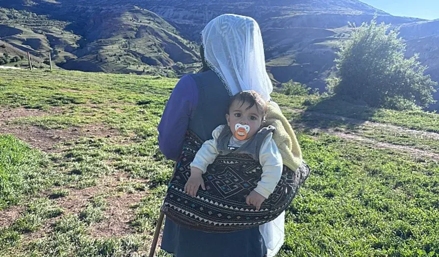 Şavakların yayla mücadelesi