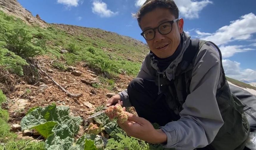 Yüksekova, Yabancı Turistlerin Yeni Doğa Rotası Oluyor