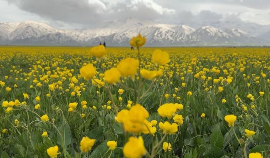Hakkari'de iki mevsim bir arada yaşanıyor