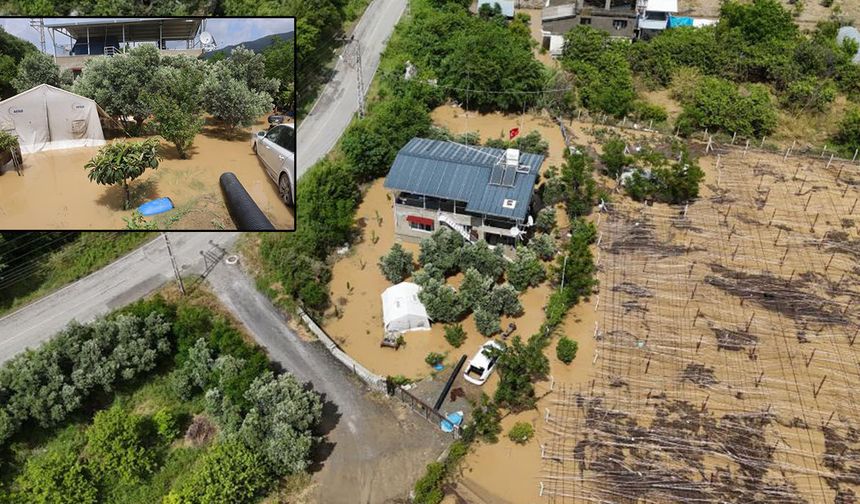 Defne’de Sağanak Afeti: Tarım Arazileri Göle Döndü, Evleri Su Bastı