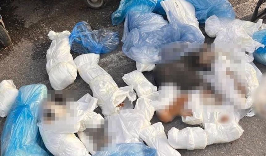 Başsavcılığın İtirazı Sonuç Verdi: 33 Kedinin Ölümüne Neden Olan Cani Veteriner Tutuklandı