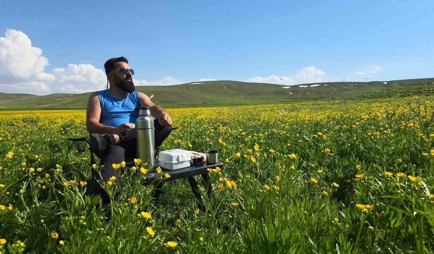 Van’da 2 Bin 800 yıllık tarihin ortasında sarı çiçek şöleni