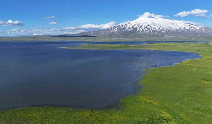 Süphan Dağı’nın Eteklerinde Bir Doğa Harikası: Cil Gölü Ziyaretçilerini Büyülüyor