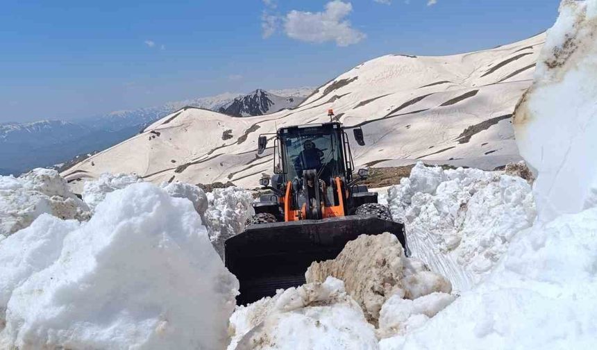 Hakkari'de Haziran Ayında Karla Mücadele: Kapanan Yollar Tek Tek Açılıyor