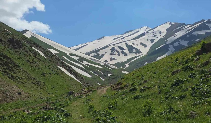 Van'da Haziran Ayında Kartopu Keyfi!