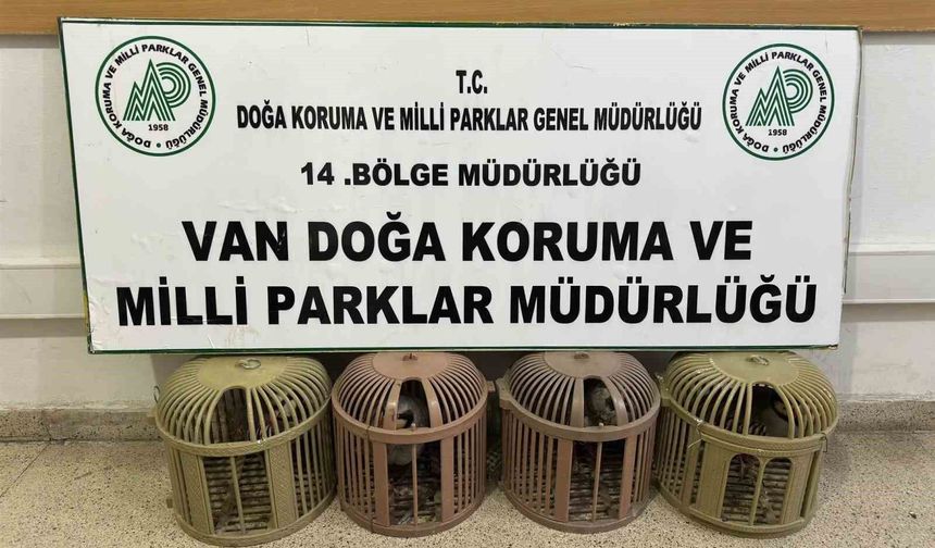 Van'da 4 Kınalı Keklikle Yakalanan Şahsa 51 Bin 878 TL Ceza